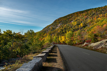 Acadia Landscape 15
