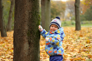 Portrait of nice child standing in autumn park