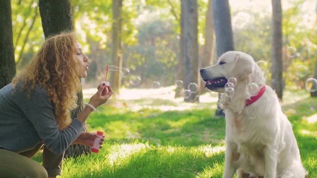 Young female playing with labrador retriever dog with bubles in park