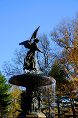 ニューヨーク　セントラルパークの秋
