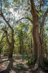 Obraz premium Wormsloe State Historic Site