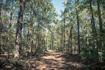Wormsloe State Historic Site