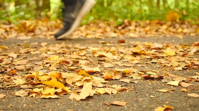  Pathway in park, birch, beeches and maples leaves on the ground. Running shoes run in background. Slow slider controled camera movement