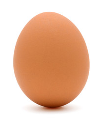 Single brown egg isolated on white background