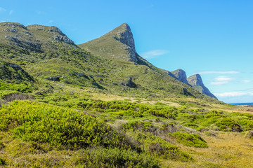 Fototapeta premium Table Mountain National Park, located on the Cape of Good Hope, Cape Peninsula, is one of the most visited National Parks in South Africa.
