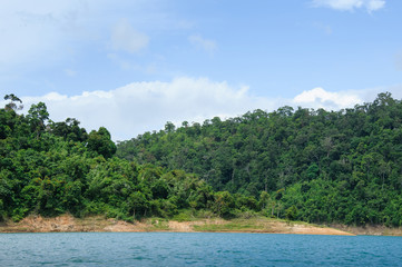 trees rock and sea