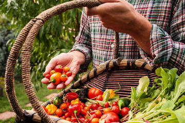 Farmer holding wooden basket and produce in hand 