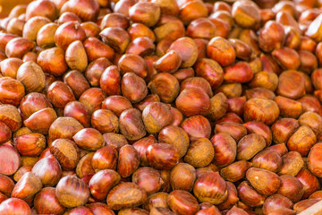 fresh brown chestnuts