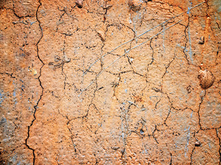 background made with a texture of a orange wall