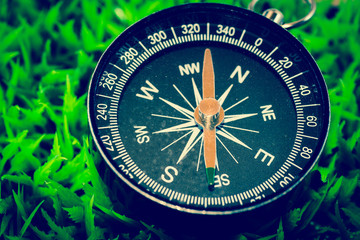 Compass on green grass