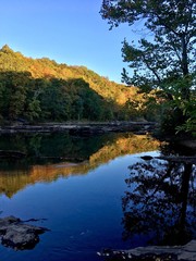 Autumn trees reflecting in creek