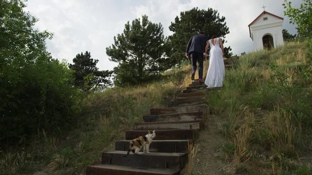 A newly married couple climbs a staircase to a shrine with a cross above.  A cat hangs out near the bottom of the staircase. 4k. In slow motion.