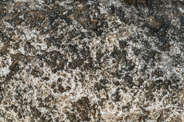 Gray stone texture