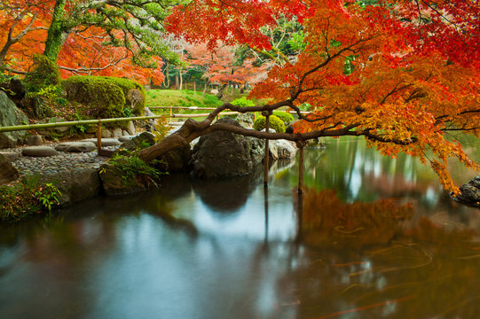 Calm natural quiet Japanese style park and garden long exposure photo in Koishikawa Korakuen Tokyo Japan