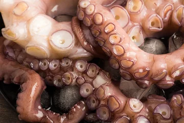 Crédence de cuisine en verre imprimé Crustacés octopus close-up