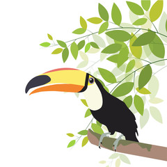 Bird vector illustration tree