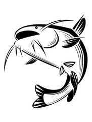 graphic catfish, vector