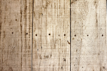 Fototapeta premium Wood texture with nail