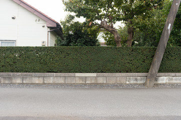 Large blank billboard on a street wall, banners with room to add your own text