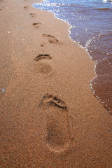 footprints on the wet sand