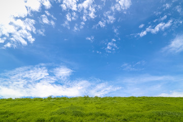 Glade green grass under the blue sky