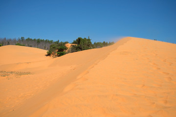 Wind on the edge of a large dune. Red dunes - a natural attraction in the vicinity of Phan Thiet. Vietnam