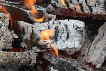 Bright burning fire of wood at fireplace 20447