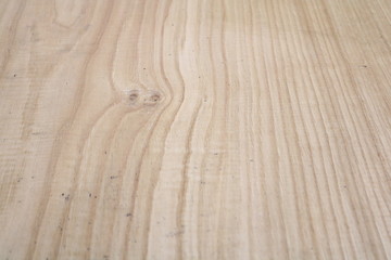 Fototapeta premium wood texture with growth rings