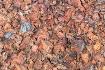 Dry waste coconut shell texture background