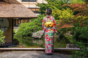 Women in kimonos stand in Kyoto ancient architecture to admire Maple Leaf