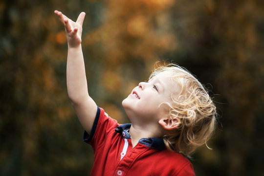 Small Child In Autumn Sunlight