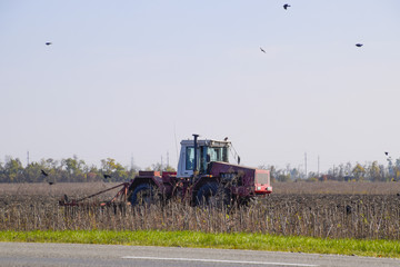 Obraz premium Tractor plowing a field and crows flying around him in search of food