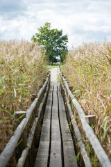 Diminishing perspective of wooden suspension footbridge over riv