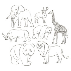 Wild animals set