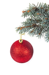 Christmas ball on a branch on a white background