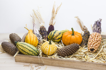 Autumn mood with decorative pumpkins, corns, pine cones and straw