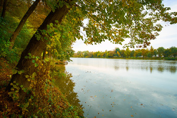 Colorful autumn lake
