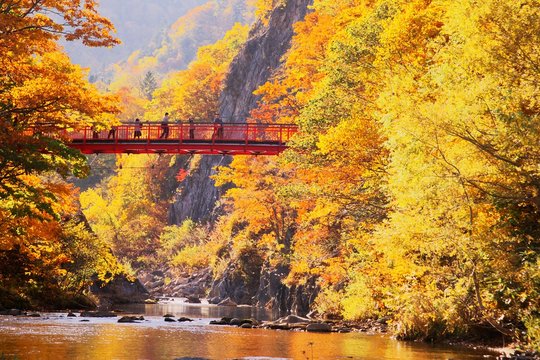定山渓温泉」の写真素材 | 843件の無料イラスト画像 | Adobe Stock