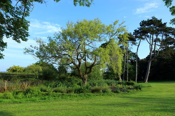 A small pond along the sunshine trail near Sandown on the Isle of Wight