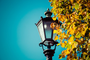 Street light in fall colours