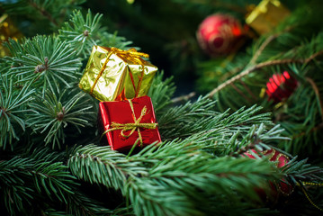 Naklejka na ściany i meble Christmas Composition Red Golden Box Fir Tree