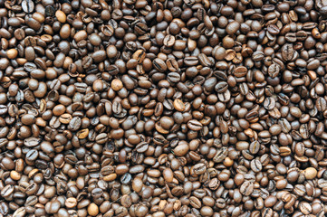 Coffee beans close-up 
