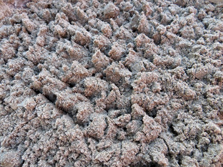 Rake loosen sand in the garden