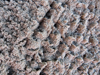 Rake loosen sand in the garden