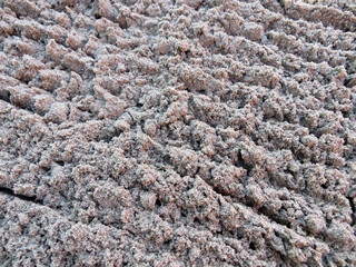 Rake loosen sand in the garden