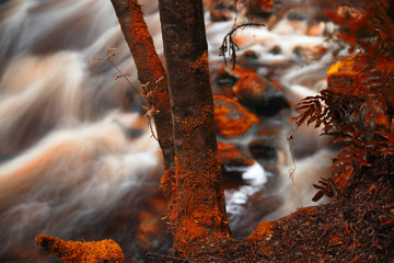 Newell creek in Tasmania, Australia is a magnificent fast running stream. Abstract landscape with red hues added.