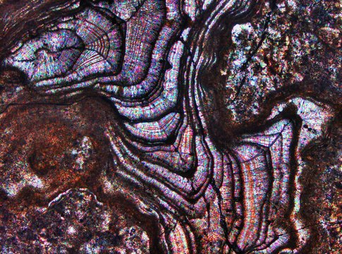 Micro-photo of geological thin section