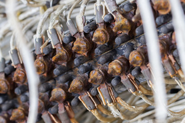 Electronic system in an aircraft wreck in Iceland