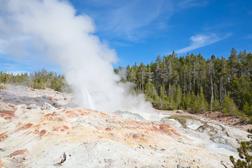 Norris geyser basin