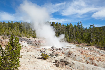 Geyser
